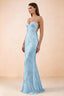 Celine Sky Blue Floral Embroidered Corset Mermaid Maxi Dress