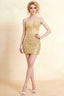 Amanda Champagne Sequin Corset Mini Dress with V-Neck