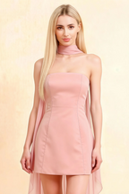 Candice Blush Strapless Mini Dress with Neck Scarf