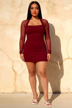 Doris Burgundy Mesh Long Sleeves Bodycon Mini Dress