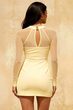 Doris Lemon Sheer Mesh Long Sleeves Mini Dress