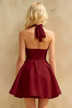 Dorothy Burgundy Halter Neck Backless Mini Homecoming Dress