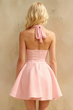 Dorothy Pink A-Line Mini Halter Dress for Women