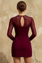 Edith Burgundy Long Sleeve Crew Neck Mini Dress