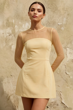 Edith Lemon Mesh A-Line Mini Dress with Sleeves