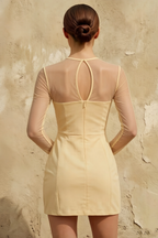 Edith Lemon Mesh A-Line Mini Dress with Sleeves