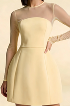 Edith Lemon Mesh A-Line Mini Dress with Sleeves