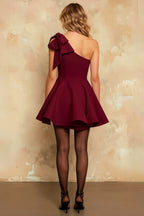 Elizabeth Burgundy One Shoulder Mini Dress With Bow