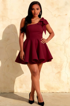 Elizabeth Burgundy One Shoulder Mini Dress With Bow