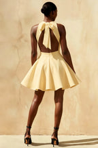 Ellen Lemon A Line Scoop Neck Mini Dress for Women