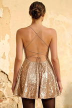 Elsa Champagne Sequin A Line Backless Mini Dress