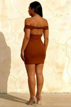 Emily Chocolate Brown Off The Shoulder Backless Mini Dress
