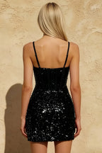 Evelyn Black Sequin Mini Dress | Sexy Bodycon Party Style