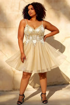 Francesca Champagne Mini Dress With V Neck | A-Line Party Wear