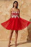 Francesca Red V Neck Mini Dress | Embroidered Tulle Party Gown