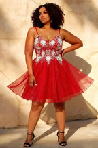 Francesca Red V Neck Mini Dress | Embroidered Tulle Party Gown
