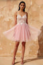 Francesca Pink V Neck Mini Dress | Sequin Embroidered Party Gown
