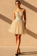 Gabriela Champagne Mini Dress With Tulle | Party Wear