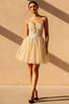 Gabriela Champagne Mini Dress With Tulle | Party Wear