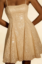 Gemma Champagne Glitter Mini Dress - Sequin Lace Party Dress