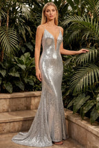 Jade Sparkly Silver Sequin Mermaid V-neck Maxi Dress