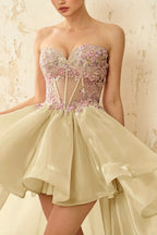 Joanne Champagne Organza High Low Maxi Dress