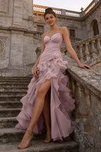 Judith Pink Sheer Mermaid Ruffle Maxi Dress