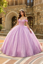 Zara Purple Rhinestone Quinceanera Dresses | Lilac Ball Gown